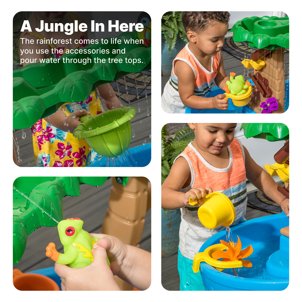 Step2 Tropical Rainforest Water Table