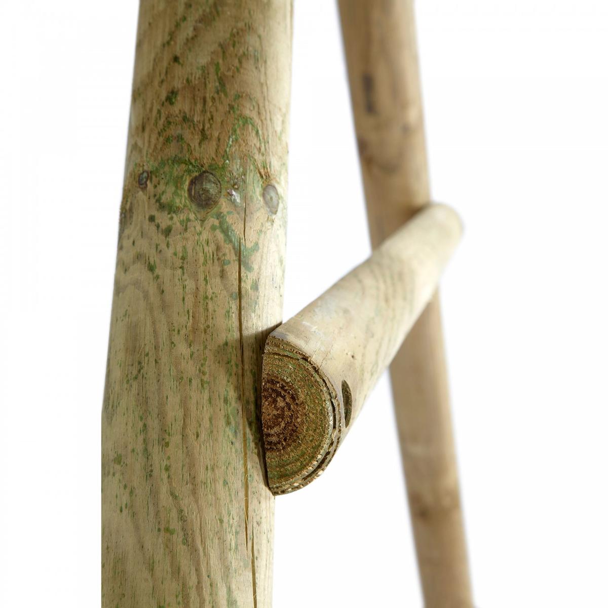 Plum BushBaby Wooden Swing Set 